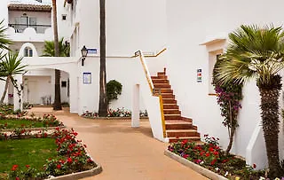 Globales Bouganvilla